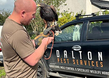 Dalton Pest Services