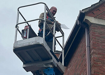 Dalton Pest Services