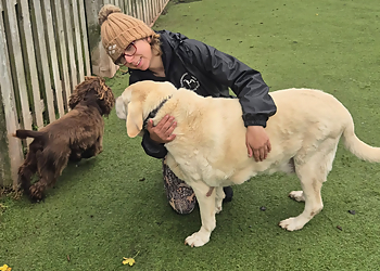 Damhead Boarding Kennels