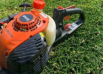 Dan Brade Tree Services