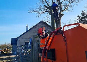 Dan Brade Tree Services