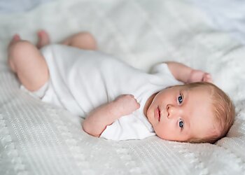 Dandelion Photography