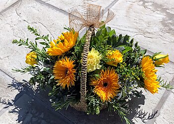 Dark Side Of The Bloom