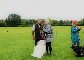 Dave Shaw Dog Training Services Dave Shaw Dog Training Services