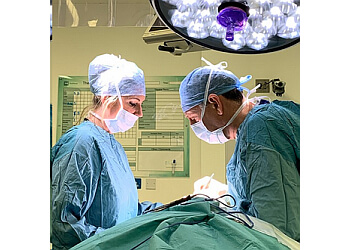 David Johnson, BA (Cantab), MA (Cantab), BM BCh (Oxon), DM (Oxon), FRCS (Plast) - THE MANOR HOSPITAL