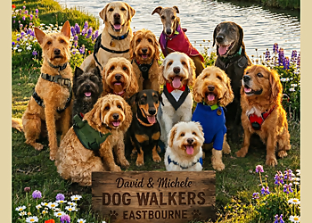 David & Michele Dog Walkers David & Michele Dog Walkers