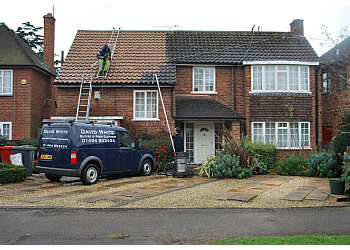 David White Roof Cleaning