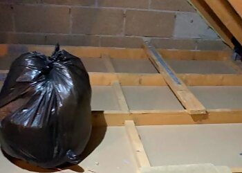 Day 2 Day Pest Control