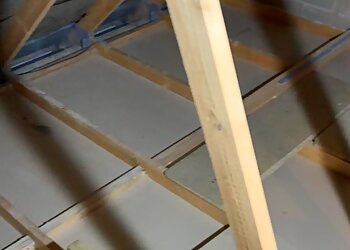 Day 2 Day Pest Control