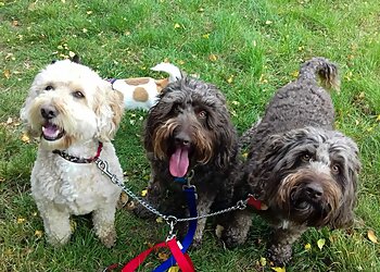 Day2Day Pet Services