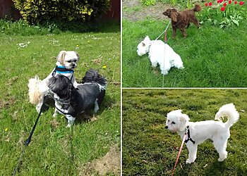 Day2Day Pet Services