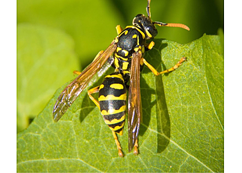 Day’s Pest Control