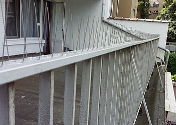 Deadbug Pest Control Ltd