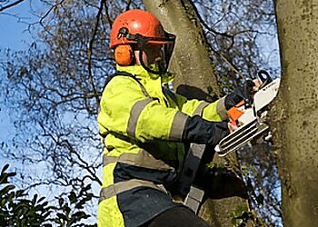 Dean Eagles Tree Care Services