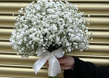 Debbie Western Flowers Ltd