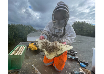 Defender Pest Control