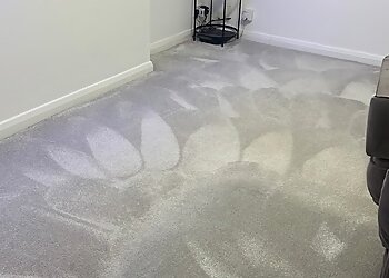 Deluxe Dry Carpet Cleaning