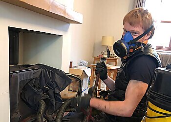 Denley's Chimney and Stove Servicing