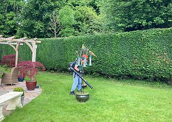 Denton Garden Services