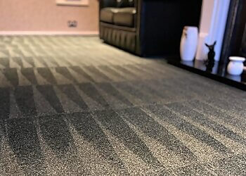 Detail Carpet Cleaning