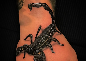 Devils Ivy Tattoo studio