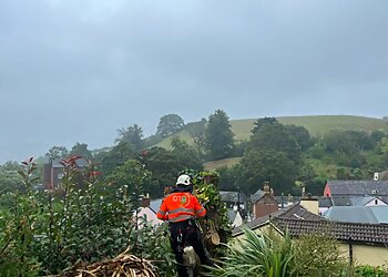 DTG Trees & Grounds Ltd