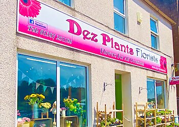 Dez Plants