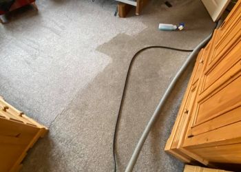 Diamond Carpet & Upholstery Cleaning
