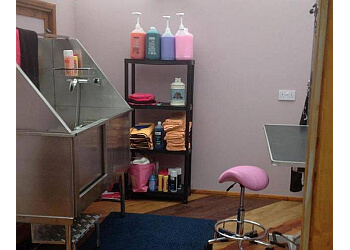 Diamond Dogs Grooming Parlour