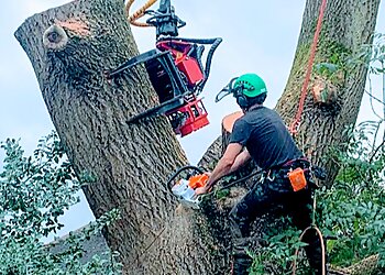 Dickinson Tree Company