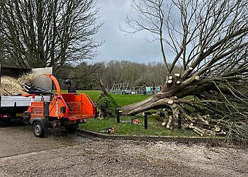 Dickinson Tree Company