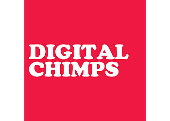 Digital Chimps Ltd