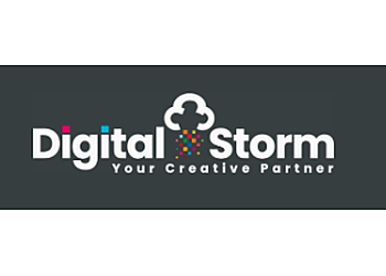 Digital Storm Ltd