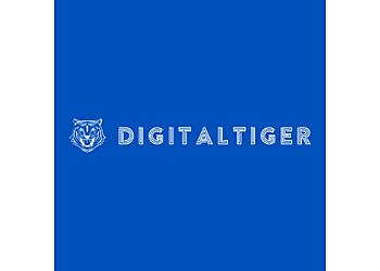 Exmouth website designers DigitalTiger image 1