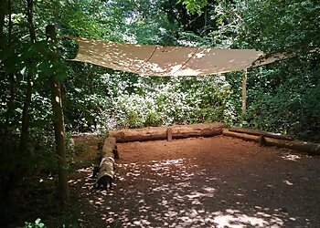 Dinton Pastures Country Park