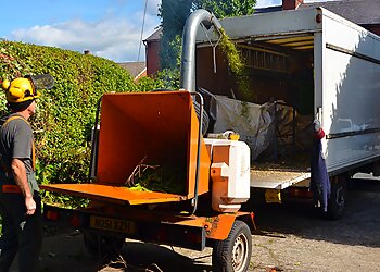 Discount Tree Services Ltd.