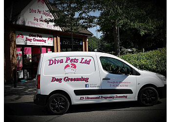  Diva Pets Ltd