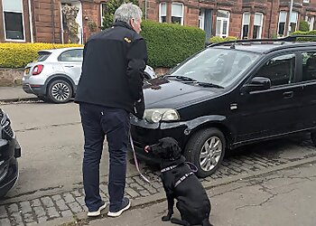 Dog Coach Glasgow