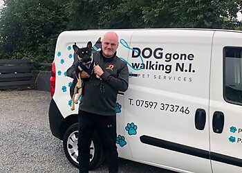 Dog Gone Walking NI