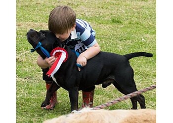 Dog Training Made Simple