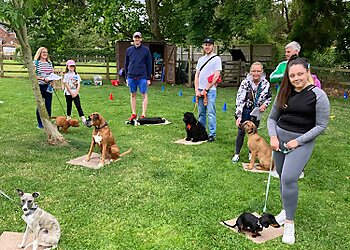 Dog Training With Rachael