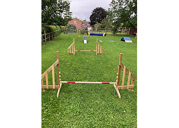 Dog Training With Rachael