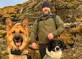 Blackburn dog trainers Dog Training by Mark image 1