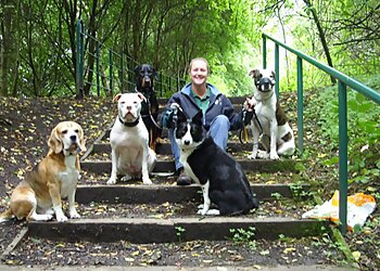 Dog Walking and Pet Sitting Service
