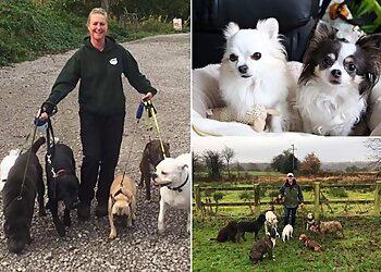 Dog Walking and Pet Sitting Service