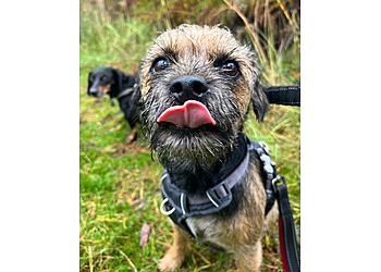 Dog Wiggles Sitters Milton Keynes