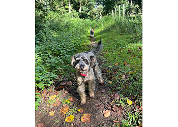 Dog Wiggles Sitters Milton Keynes