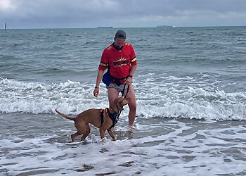 Doggiedodoggiedon’t