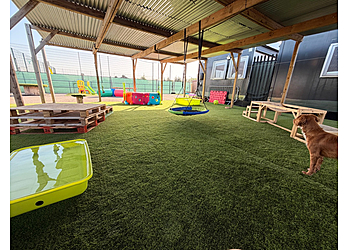 Doggy Day Academy Ltd