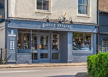 Doggy Styling Boutique & Grooming 